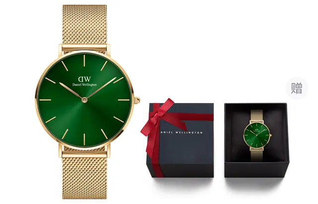 Daniel Wellington PETITE DW00100481