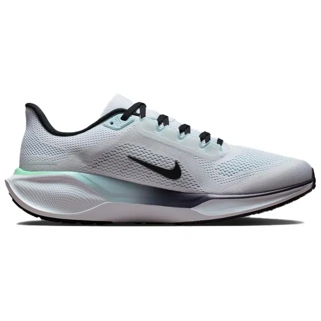 Nike Air Zoom Pegasus 41