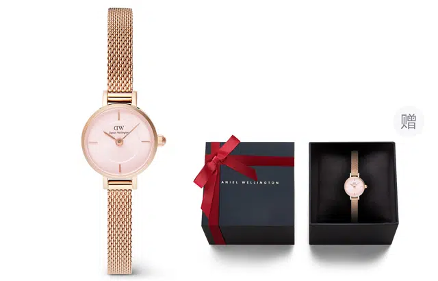 Daniel Wellington 19MM