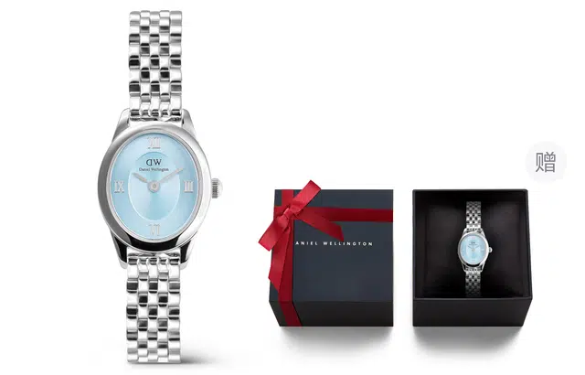 Daniel Wellington DW DW OPHELIA 25.5x22mm