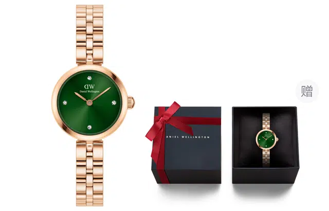 Daniel WellingtonDW DW 22mm 30m