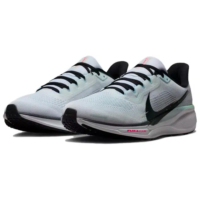 Nike Air Zoom Pegasus 41