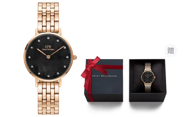 Daniel Wellington DW00100660