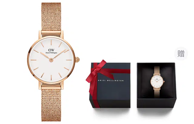 Daniel Wellington PETITE 24mm DW00100447