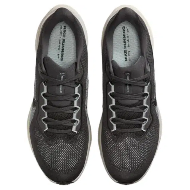 Nike Air Zoom Pegasus 41