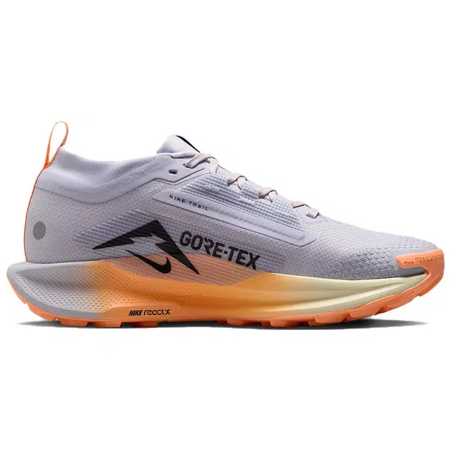 Nike Pegasus Trail 5 React