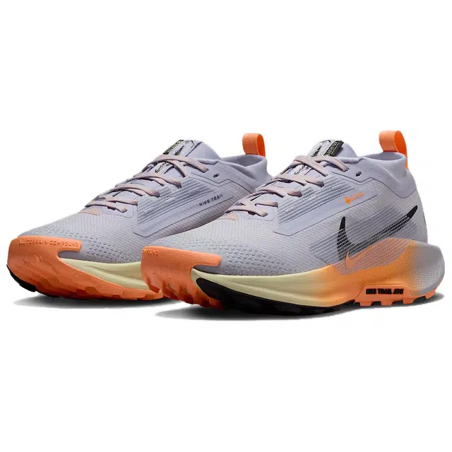 Nike Pegasus Trail 5 React