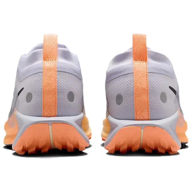 Nike Pegasus Trail 5 React