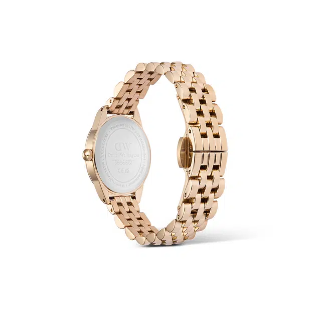 Daniel Wellington DW DW OPHELIA 25.5x22mm