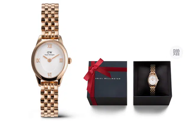 Daniel Wellington DW DW OPHELIA 25.5x22mm