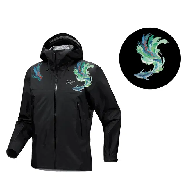 Arcteryx Beta GORE-TEX