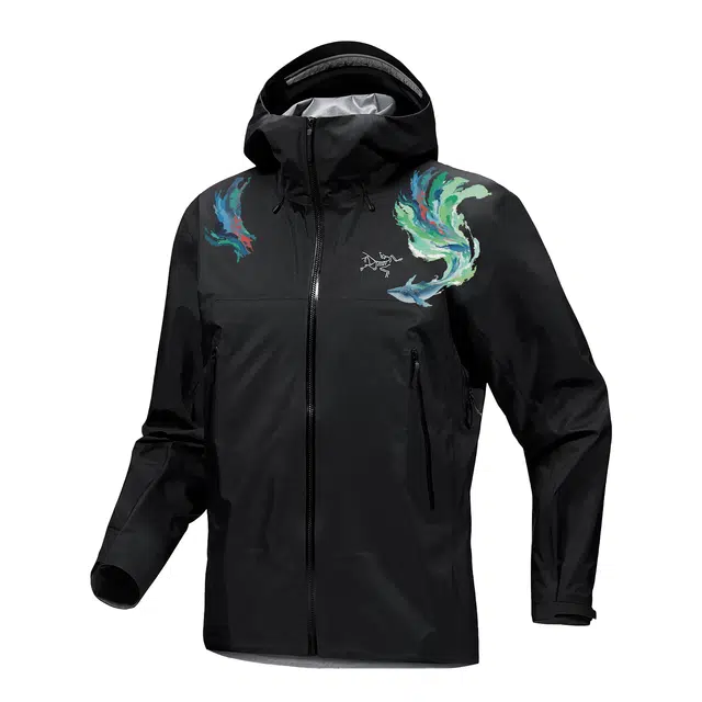 Arcteryx Beta GORE-TEX
