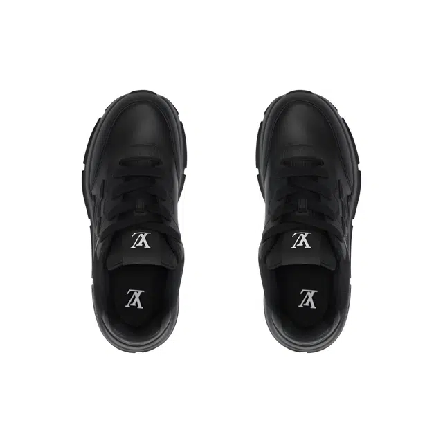 LOUIS VUITTON 2025 Classic