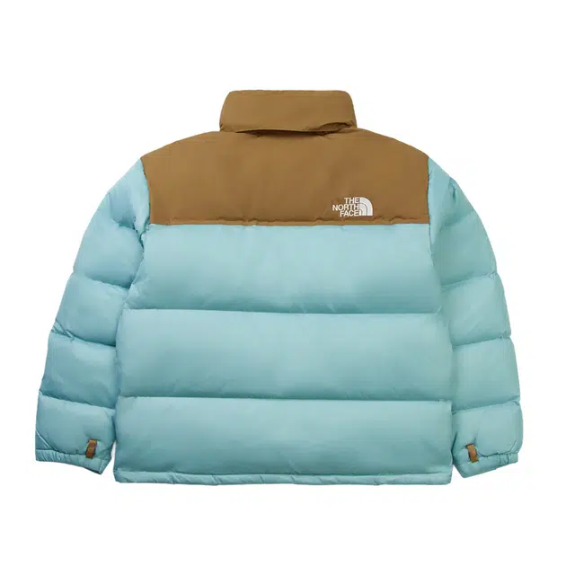 THE NORTH FACE ICON NUPTSE 700