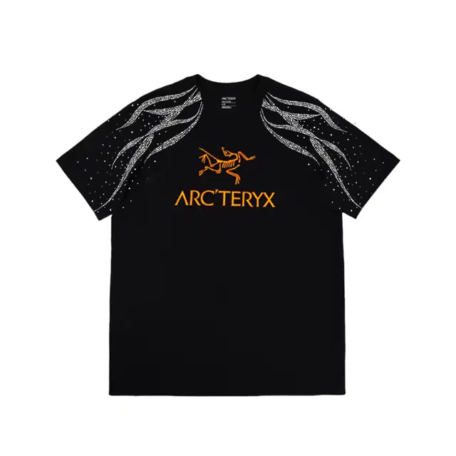 Arcteryx ARC'WORD LOGO