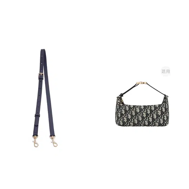 diorTravel Nomad oblique