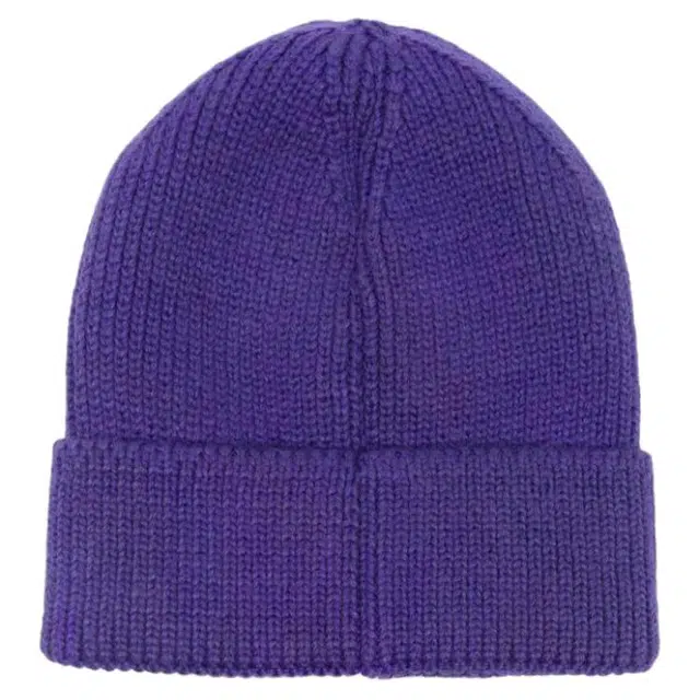 The North Face Logo Beanie Purple