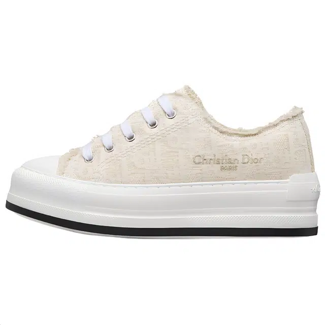 DIOR Walk'n'Dior Oblique