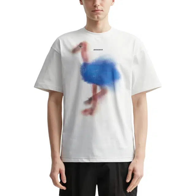 ADER ERROR T