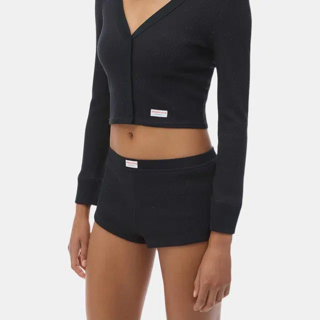 alexander wang FW24 bodywear