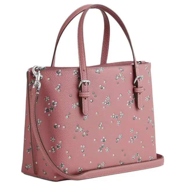 COACH Mollie Tote Bag