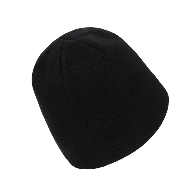 Dickies Beanie