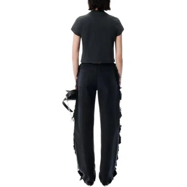 alexander wang FW25 T