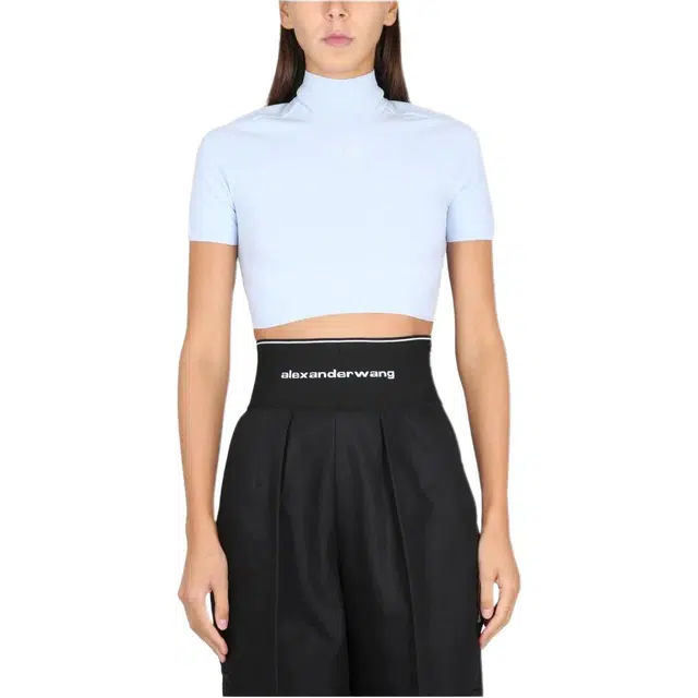 alexander wang T