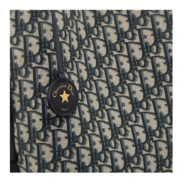 DIOR Diorstar Oblique