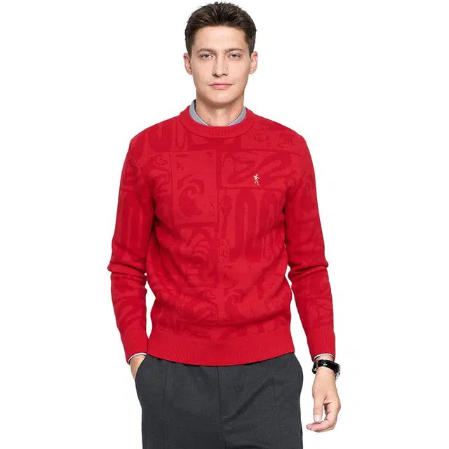 与狼共舞 提花潮流时尚国风本命蛇年保暖圆领羊毛衣 男款