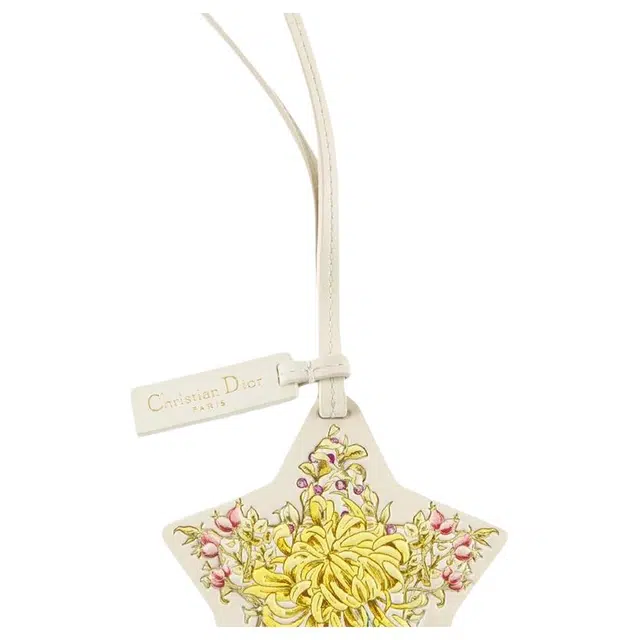 DIOR Lucky Star