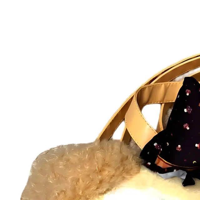 Disney 2024cookie Ann