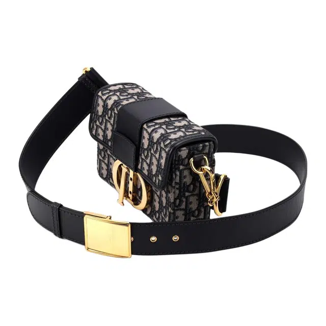 DIOR 30 Montaigne Oblique