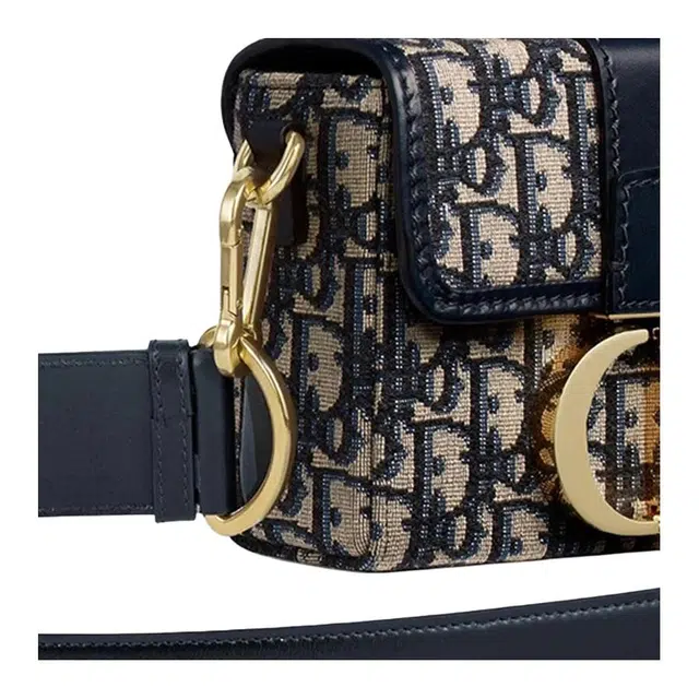 DIOR 30 Montaigne Oblique