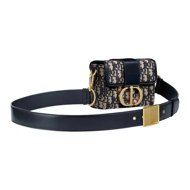 DIOR 30 Montaigne Oblique