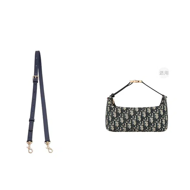 diorTravel Nomad Oblique