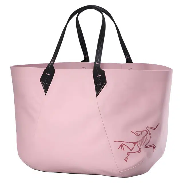 Arcteryx Carrier 45L