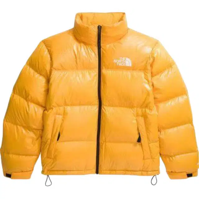 THE NORTH FACE 1996Nuptse Logo