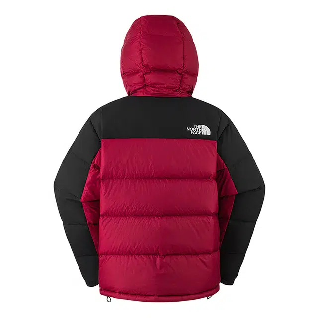 The North Face ICON Hmlyn Down Jacket
