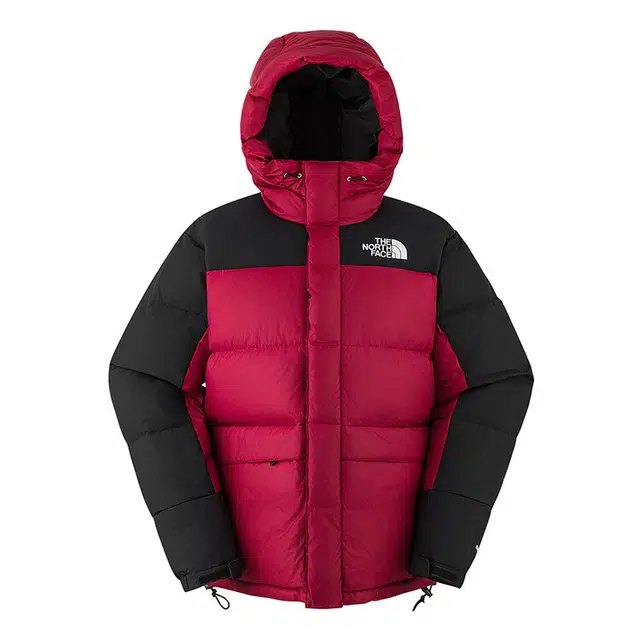 The North Face ICON Hmlyn Down Jacket
