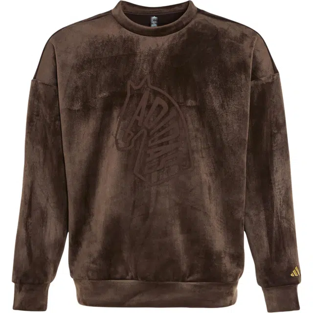 adidas FW25 Graphic Crew Sweatshirt