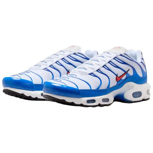 Nike Air Max Plus