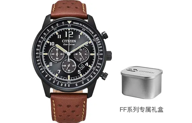 CITIZEN BIP CA4505-12E