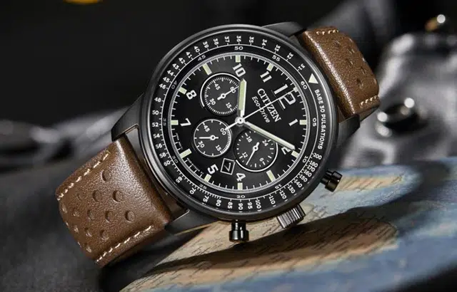 CITIZEN BIP CA4505-12E