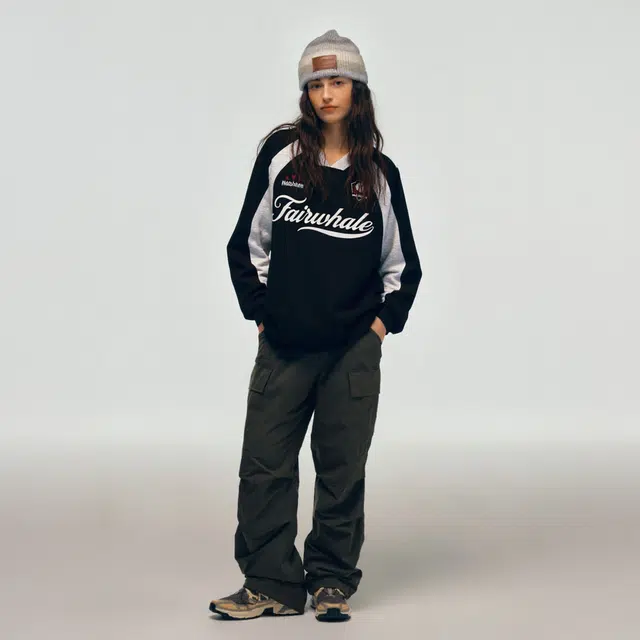 FAIRWHALE Vlogo