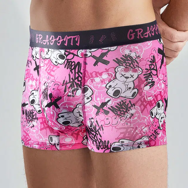 PLAN IN Bear Series Boxer Briefs