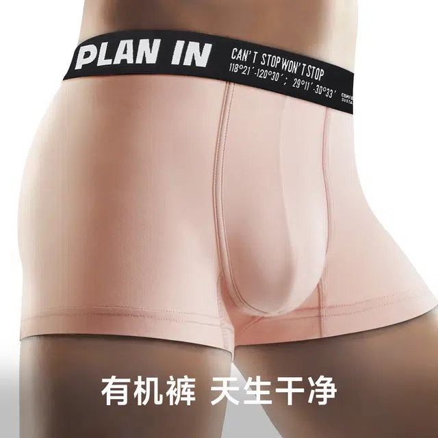 PLAN IN