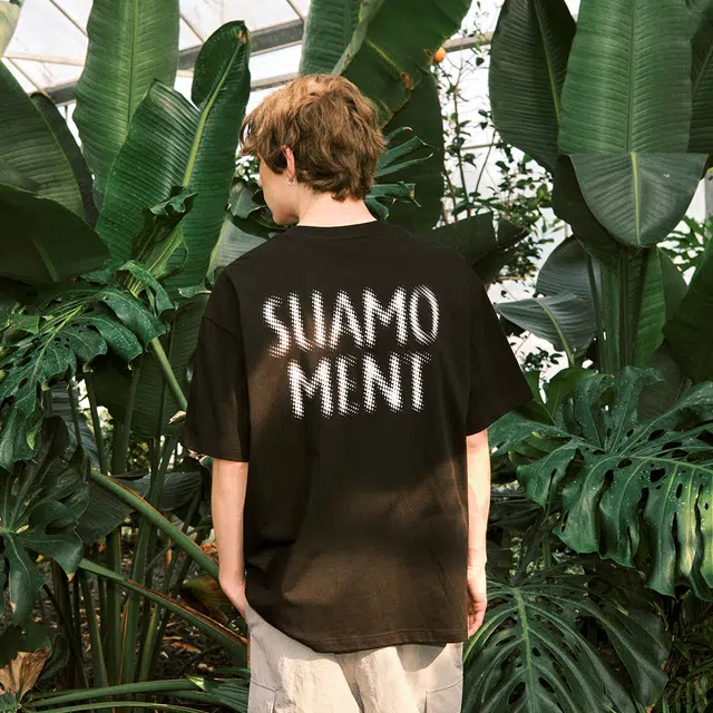Suamoment T