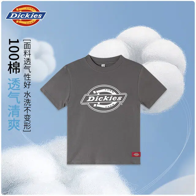 DickiesT