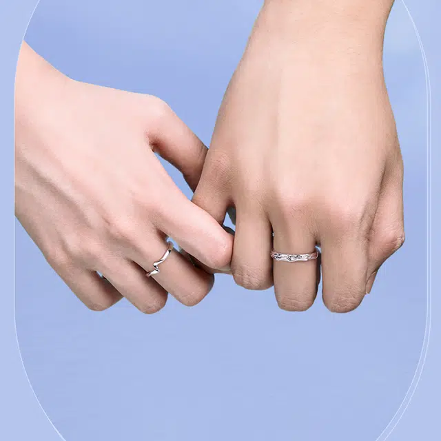 zoo jewel S925